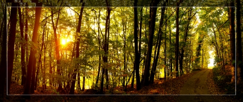 Стенен панел Пейзажи 004