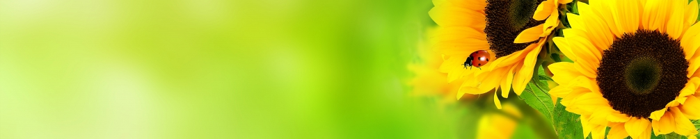 Кухненски гръб Цветя 078