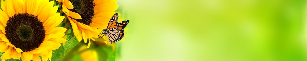 Кухненски гръб Цветя 079