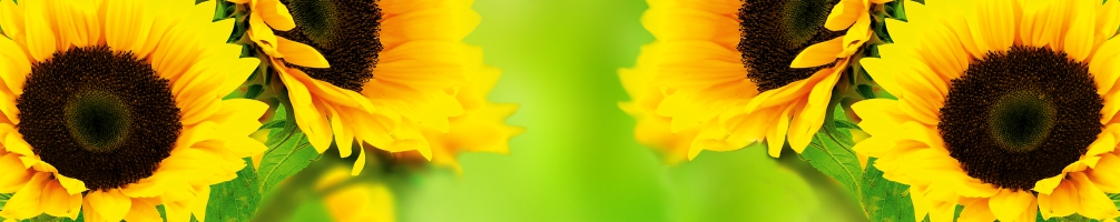 Кухненски гръб Цветя 080