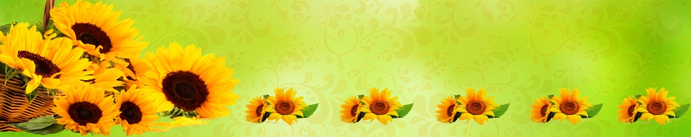 Кухненски гръб Цветя 081