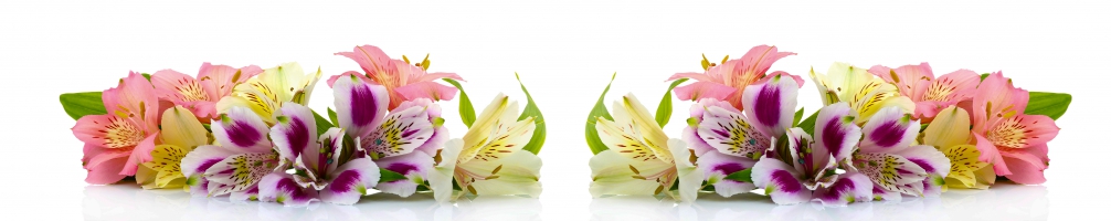 Кухненски гръб Цветя 086