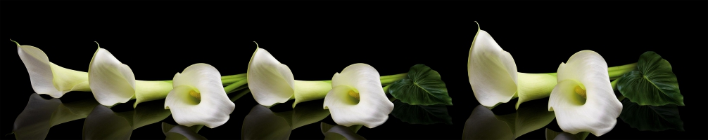 Кухненски гръб Цветя 082