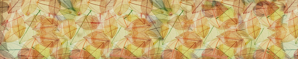 Кухненски гръб Цветя 084